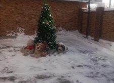 Дом 120 м² на участке 10 сот.