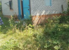 Дача 20 м² на участке 5 сот.