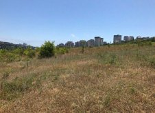 Участок 5 сот.