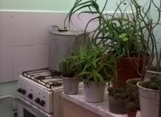 1-к квартира, 20 м², 1/1 эт.