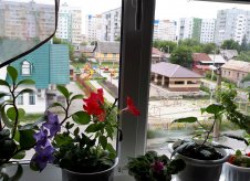2-к квартира, 55 м², 5/10 эт.