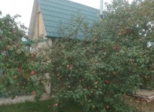 Дача 42 м² на участке 4 сот.