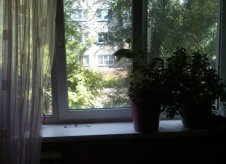 1-к квартира, 19 м², 2/5 эт.