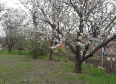 Участок 5 сот.