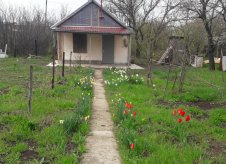 Участок 5 сот.