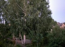 Дом 120 м² на участке 16 сот.