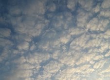 Участок 8.8 сот.
