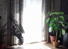 Дом 177.5 м² на участке 177.5 сот.