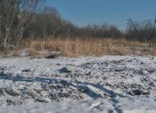 Участок 10 сот. (ИЖС)