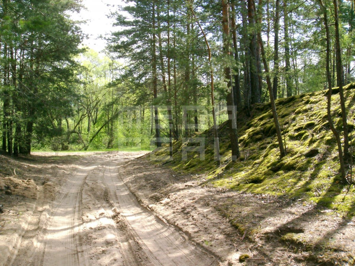 фото озеро киреево красногорский район алтайский край