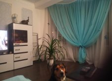 2-к квартира, 48 м², 2/2 эт.