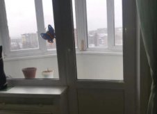 2-к квартира, 51 м², 9/9 эт.