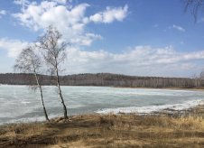 Участок 5 сот.