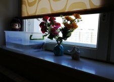 1-к квартира, 40 м², 7/9 эт.