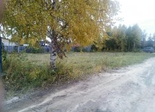 Участок 12 сот.