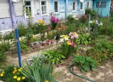 Дом 37 м² на участке 6 сот.