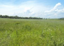 Участок 11 га (СНТ, ДНП)