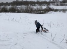 Участок 30 сот. (ИЖС)