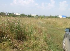 Участок 8 сот. (СНТ, ДНП)