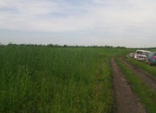 Участок 15 сот.