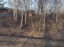 Участок 8 сот.