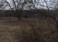Участок 6 сот.
