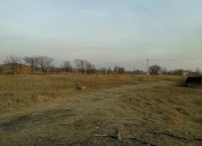 Участок 20 сот.