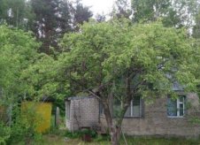 Дача 32 м² на участке 6 сот.