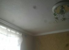 Дом 77 м² на участке 16 сот.