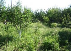 Участок 2 сот.