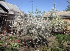 Дом 47 м² на участке 3 сот.