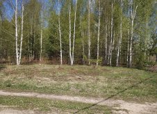 Участок 10 сот.