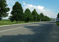 Участок 160 сот.