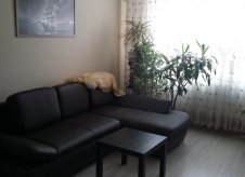 1-к квартира, 39.7 м², 4/7 эт.