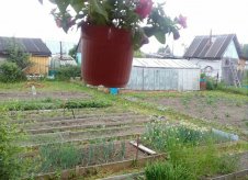 Участок 6 сот.