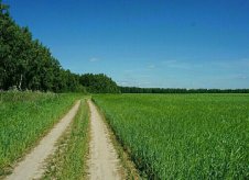 Участок 10 сот.
