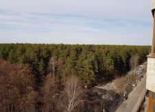 3-к квартира, 81 м², 9/17 эт.