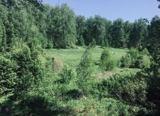 Участок 88 сот.