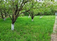 Участок 5 сот.