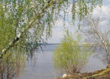 Участок 7.5 сот. (ИЖС)
