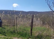 Участок 5 сот. (СНТ, ДНП)