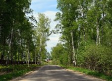 Участок 25 сот. (СНТ, ДНП)