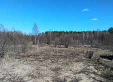 Участок 10 сот. (ИЖС)