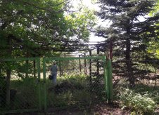 Участок 6 сот.