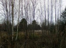 Участок 15 сот. (СНТ, ДНП)
