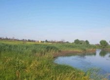 Участок 30 сот. (ИЖС)