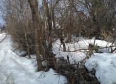 Участок 8 сот.
