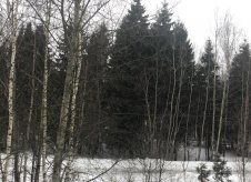 Участок 20 сот.