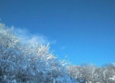 Участок 10 сот.