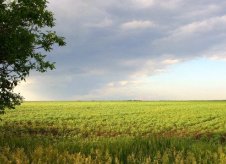 Участок 6.88 га (СНТ, ДНП)